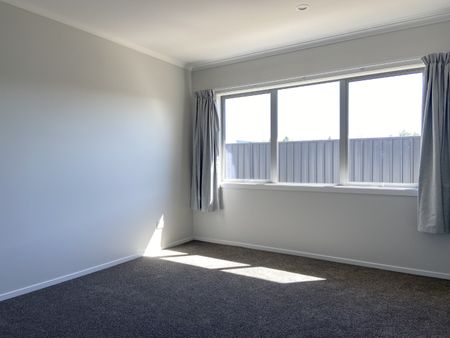 Guy Road, Waipawa - Photo 3