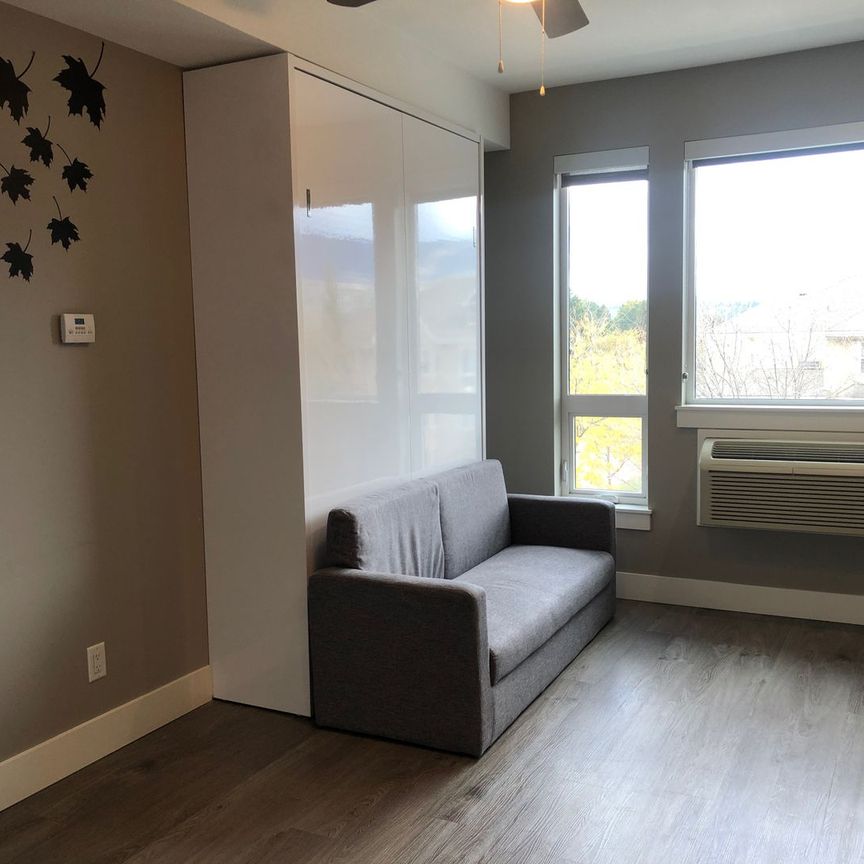 Furnished Studio near Downtown (#442) - Photo 1