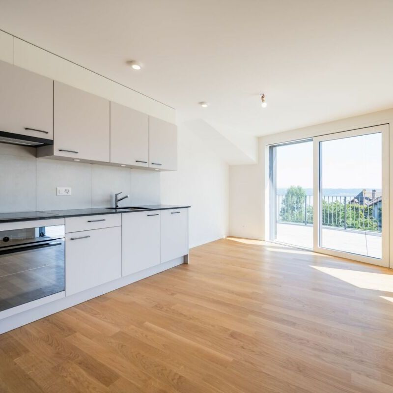 Magnifique attique de 3.5 pièces avec superbe terrasse et vue sur le lac - Photo 1