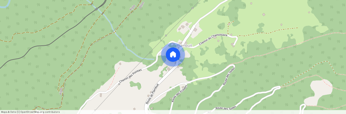 Route de Plambuit 43, 1867 Panex