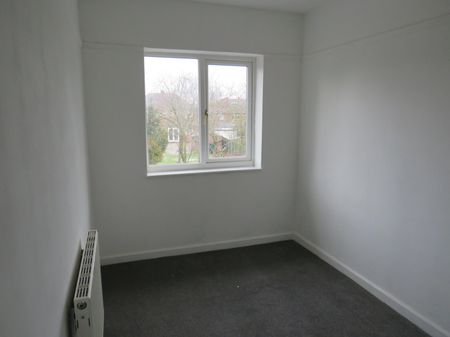 Jackson Avenue - Photo 5