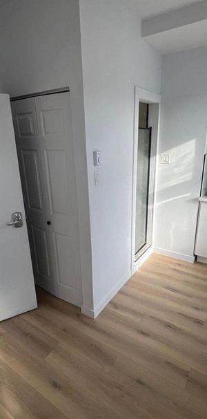 7-1/2 - 591 Avenue Ash, Montréal - Photo 1