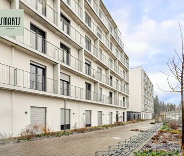 Aufgepasst: modernes 1-Zimmer-Apartment - Photo 5