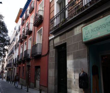 1-bedroom apartment for rent in Cortes - Photo 3