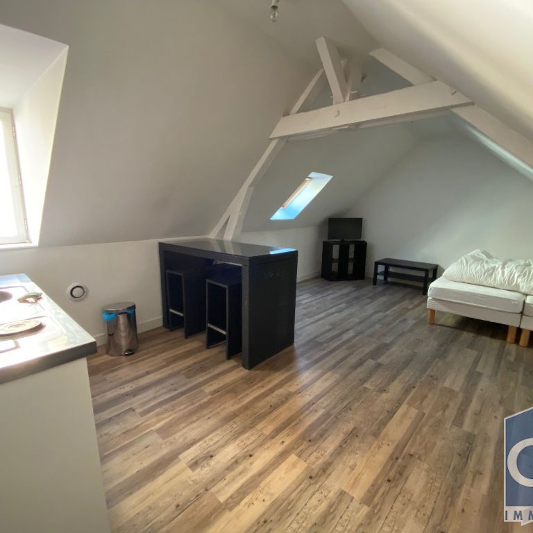 Location Appartement 1 pièce 18m² - Photo 1