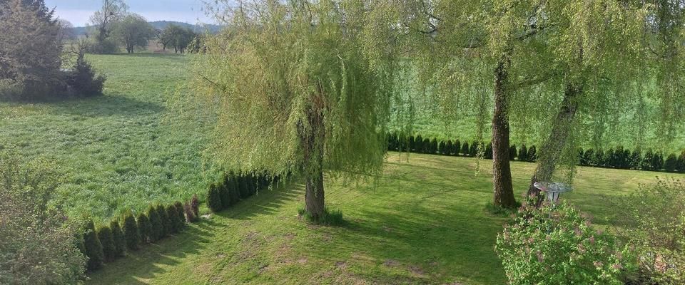 2 Zimmer Wohnung - Foto 1