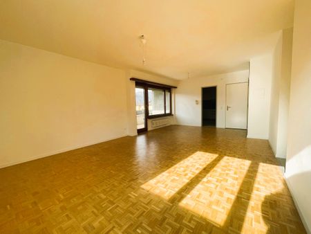 MENDRISIO – RISTRUTTURATO CON VISTA APERTA ED AMPI SPAZI - Photo 2