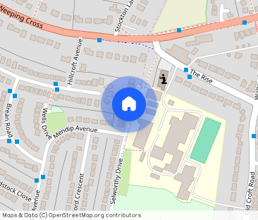 Selworthy Drive, Hillcroft Park, Stafford, ST17 0PN - Photo 1