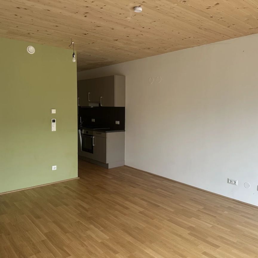 120 Meter zur U1 Oberlaa- Sonnige, barrierefreie südseitige Wohnung- inkl. Küche - Photo 1