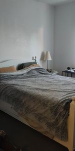 Location Appartement 3 pièces 55m² FEYTIAT 87220 - Photo 3