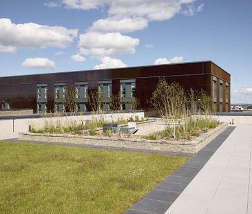 1 bedroom penthouse to rent - Photo 5