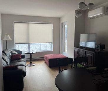 Appartement à louer - Montréal (Rosemont/La Petite-Patrie) (Shop An... - Photo 6