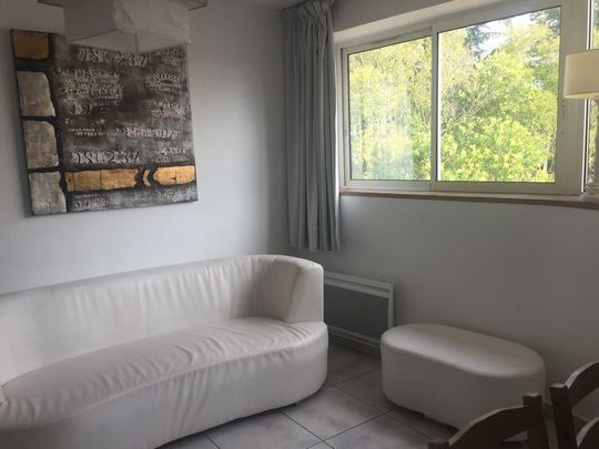 Location Appartement 2 pièces 36m² BLAGNAC 31700 - Photo 1