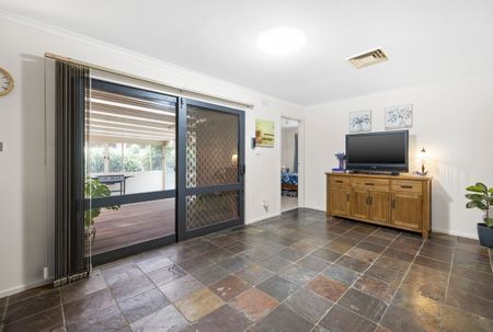 Perfect Family Home! Huge Yard for the Kids! - Photo 3