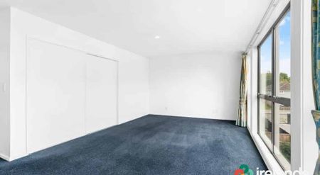 Sunny on Springfield - Photo 3