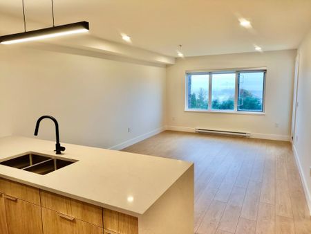 206-45 Haliburton St. Nanaimo - Photo 2