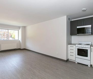 1 CH - 1 SDB - Outremont Près Laurier - $1,360 /mo - Photo 1