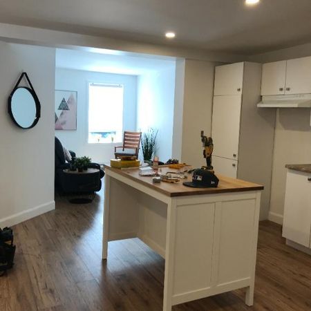 GRAND 5 PIÈCES SEMI MEUBLÉ REFAIT À NEUF AVEC COUR INTÉRIEURE (cession de bail) - Photo 3