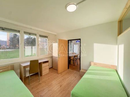 K PRONÁJMU - studentské bydlení pro 3-5 osob ve zrekonstruovaném bytě 3+1 - kousek od univerzity ČB - Photo 4