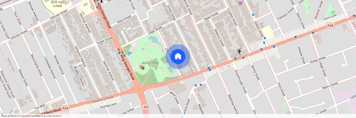 19 Clio Street, Wiley Park