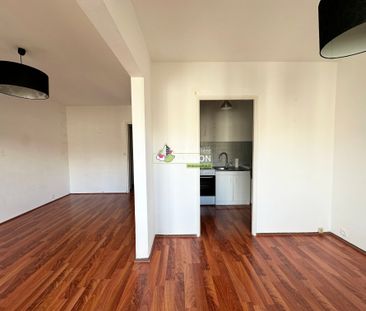 Location Appartement 1 pièce 38m² - Photo 4