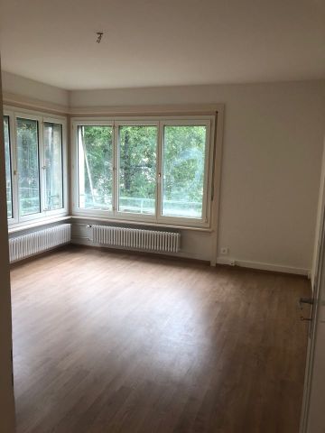 Charmantes 3-Zimmer-Wohnung mit Blick auf die Natur in Le Locle - Photo 2