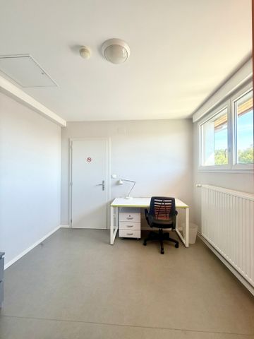 Location Appartement 1 pièce 11m² MITTELHAUSBERGEN 67206 - Photo 4