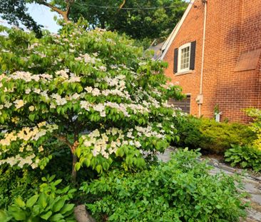 For Lease - 27 Wood Glen Road Unit# MAIN, Toronto, Ontario - Photo 6