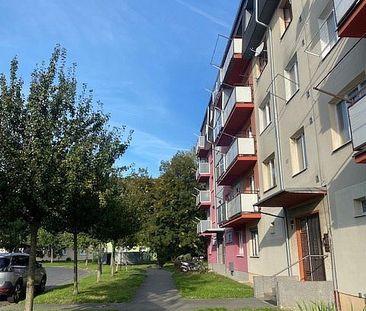Pronájem bytu 2+1 54 m² - Photo 2