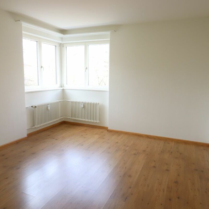 Zwischen Hallenbad und Birsig - schöne 3-Zimmer-Wohnung in Binningen - Foto 1