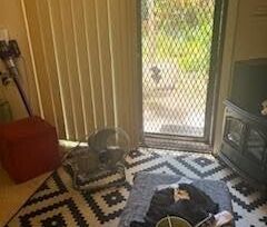 Lilyfield - Photo 2