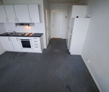 Thomsons väg 34 C, Kryddgården - Foto 5