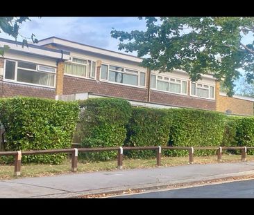 3 Bed Terraced House, Park Hill Rise, CR0 - Photo 1