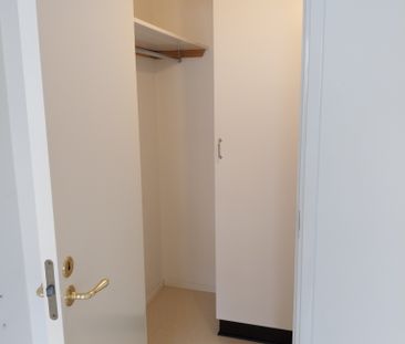 Petreplan 13A - Photo 6