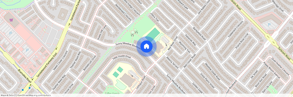 135 Sunny Meadow Boulevard, Brampton