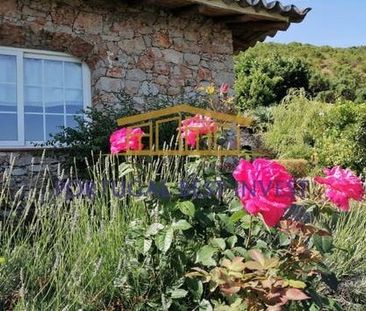 Benafátima, Silves, Faro - Photo 6