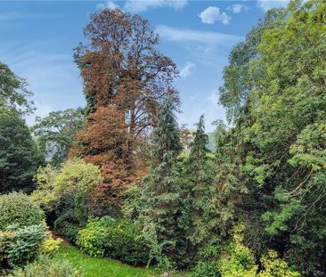 2 bedroom property to rent - Photo 2