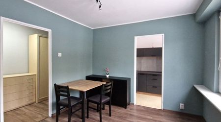 Zgierz Kurak, Bolesława Leśmiana - Zdjęcie 3