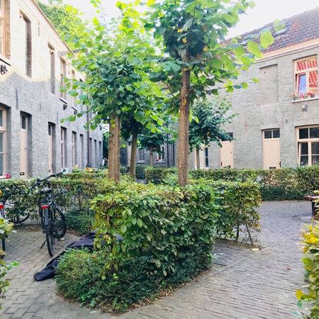 Unieke beluik-sfeer aan de Bijloke! - Foto 3