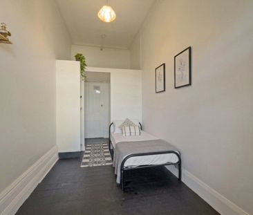 Paddington - Photo 4