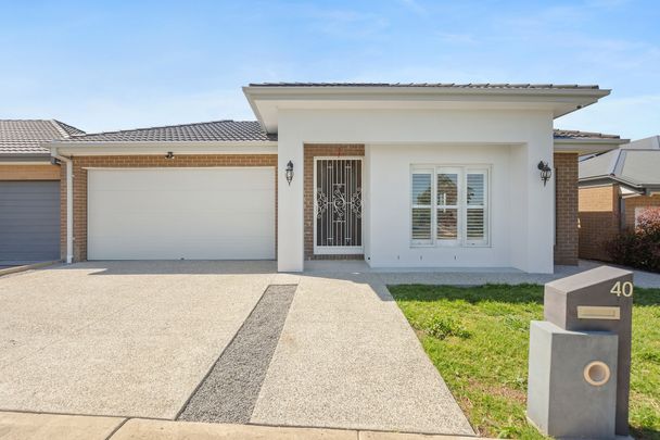 Stunning and Modern 4-Bedroom Home in Donnybrook - Photo 1