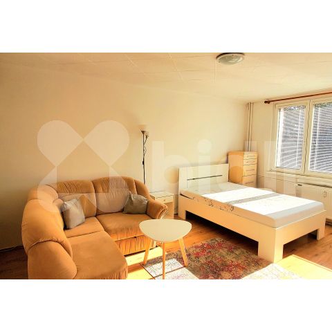 Pronájem bytu 1+1 34 m² - Photo 1