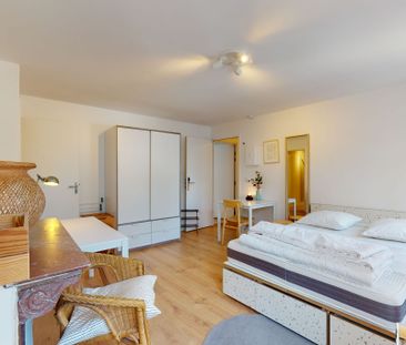 Woods — Studio Privé 5 - Photo 3