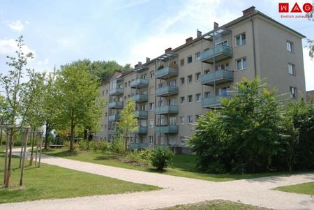 Sichern Sie sich diese exklusive 3-Zimmer-Wohnung mit Loggia! Wunderschöne Grünlage sowie Top-Infrastruktur sorgen für ein einzigartiges Wohngefühl! - Photo 5