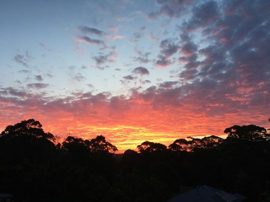 1 Banyandah Street, South Durras NSW - Photo 1