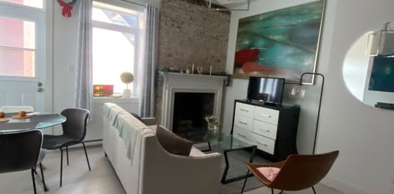 McGill/Downtown - Superb 5 1/2 Furnished - Photo 2
