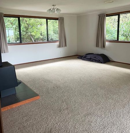 Sunny Haven - Katikati - Photo 5