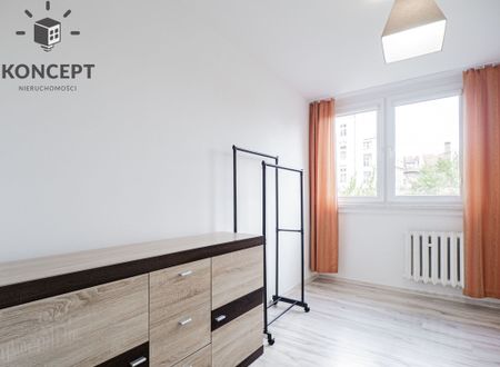 Pełen rozkład | 3-pok. | Piwnica | Krzyki - Zdjęcie 3