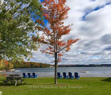 For Lease - 3 Tree Tops Lane Unit# 202, Huntsville, Ontario - Photo 1