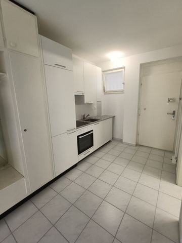 MINUSIO, 1 1/2-ROOM APARTMENT WITH LAKE VIEW - Photo 4